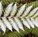 Newlands Landscaping - Builders Adelaide
