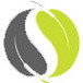 Scape Constructions