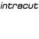 Intracut - Builders Adelaide 0