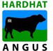 Hardhat Angus - Builders Adelaide