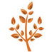 Silkwood Homes - Builders Adelaide